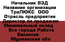 Начальник ВЭД › Название организации ­ ТриЛЮКС, ООО › Отрасль предприятия ­ Директор по продажам › Минимальный оклад ­ 1 - Все города Работа » Вакансии   . Мурманская обл.,Апатиты г.